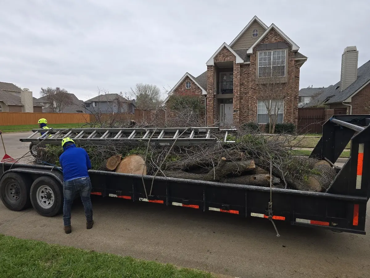 Expert Tree Removal with proper safety equipment in Ambler